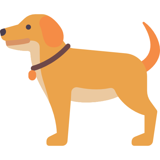 Animals & Pets